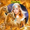 venusnworld