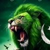 zulfi_000
