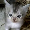 oupi_goupiiiiiiiii