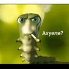 yahin_1