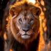mohammad.kattab6