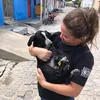 Incrivelmente