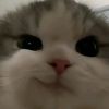 xynn_521d