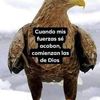 hernandezcarolina005