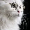 mariwan.jafff