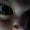 .signup_insert