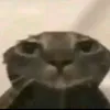 zkitkhongle10