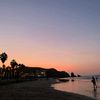 rosmary17_