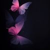 blackhoney_01