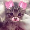 s_paw_tay_lee_bal