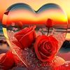 sana.baloch11270