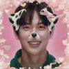 loves4cat