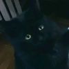 black_12062010