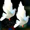 mdsobhanoo