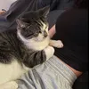 nasoeee