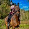 eq_eline5