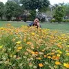 naseernaseer2885