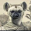 hyleeena