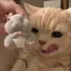 piezhere
