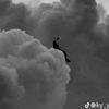 lonely_eagle7
