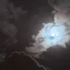 kriss_krisha
