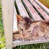 danu.2_10