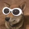sokawaii10