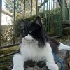 alessandrobarban16