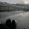 danto_7tzx