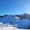 intensivzz