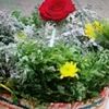 abo_saleh6183