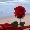 userty863d9ko6
