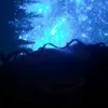 suyellentoria