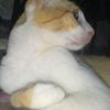 andreily74
