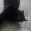 katiastor5