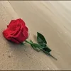 njmlsbh5183