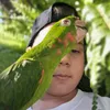 cocualeatorio7