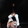 kingofthewinter