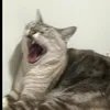 delukarts