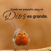 user3014856625983