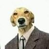 gustavo_ribero2