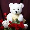 muzzamilahmed444
