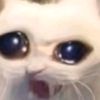 peeeeeehz