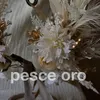 pesce_oro