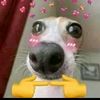 jhoel12362