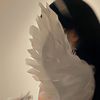 taexvk2