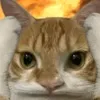 rikkimaynaj