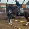 mag.horserider