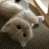 rianuwix