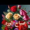 user9952153300900